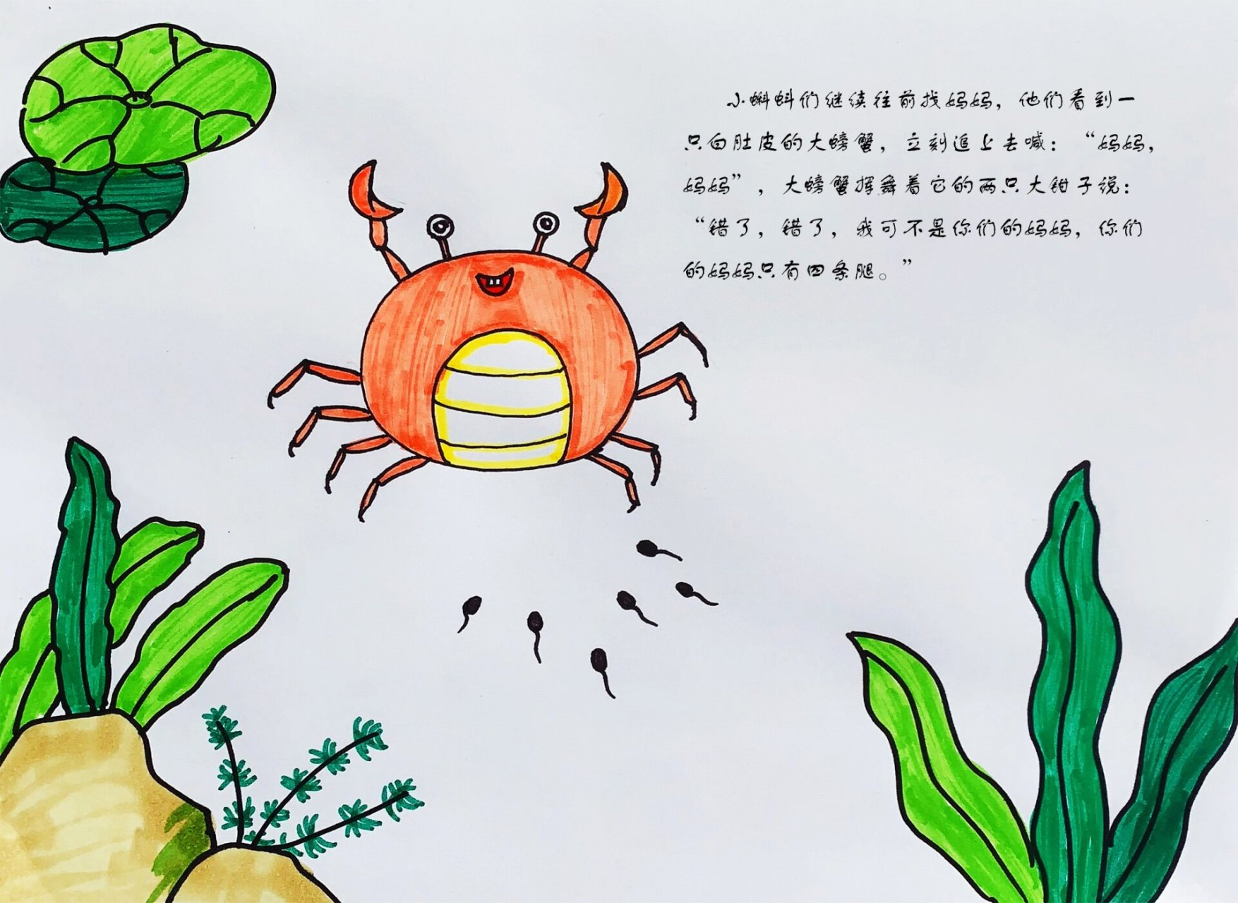 绘本 小蝌蚪找妈妈(临摹)