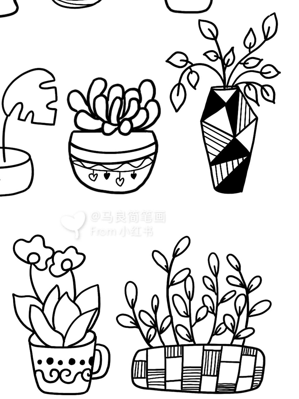盆栽简笔画|零基础可可爱爱小植物创意美术 坚持每天画
