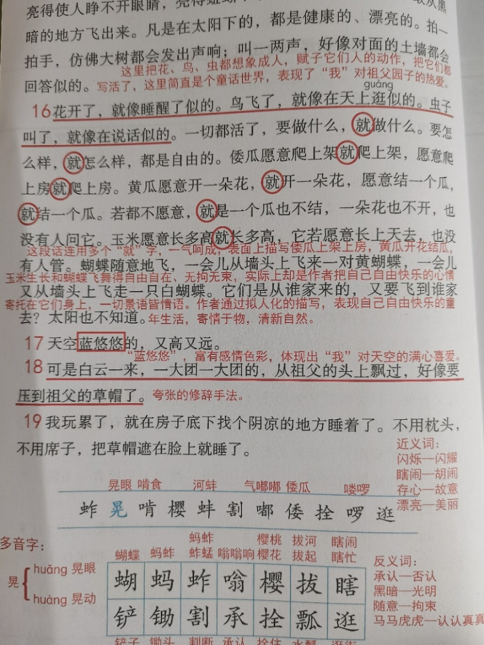 祖父的园子的笔记图片