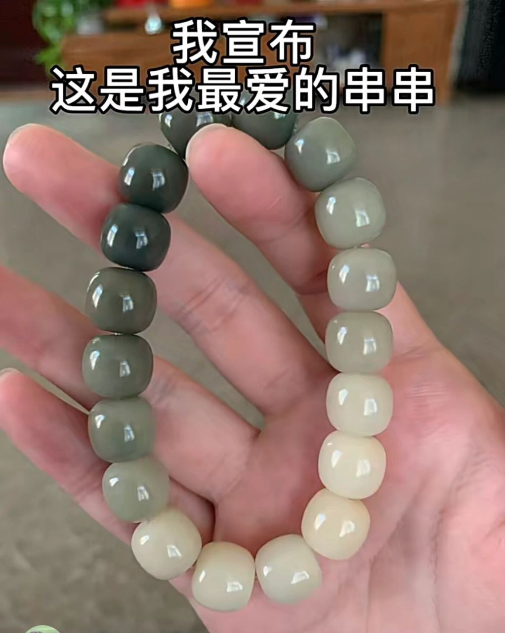 渐变绿白玉菩提变色过程  清新到灰调好高级 白玉菩提和空气的接触