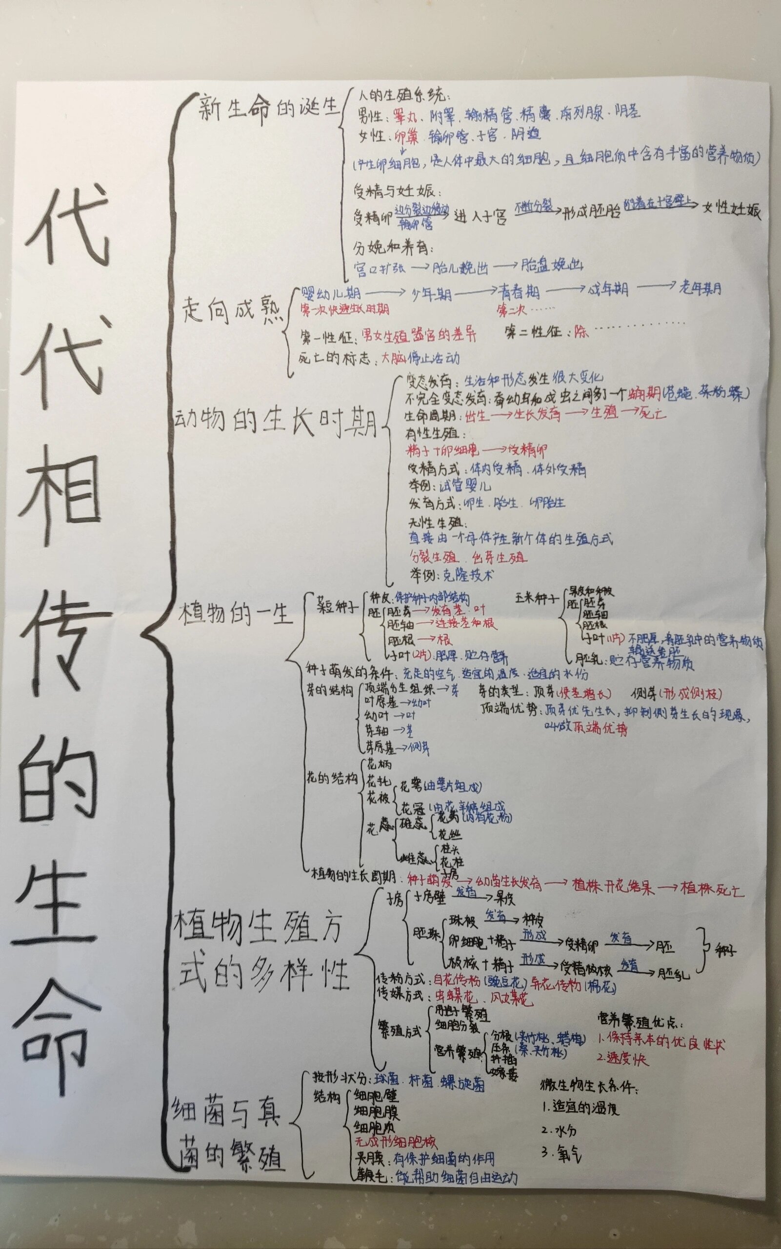 初中科学知识点框架图图片