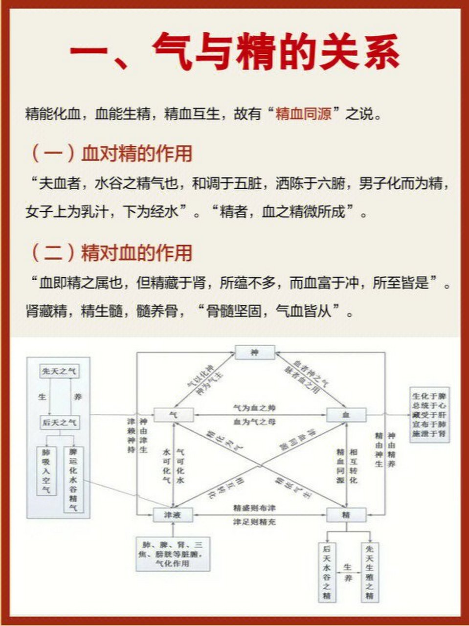 中医知识精气血津液之间的关系�图解 今天我们来学习气,血,精