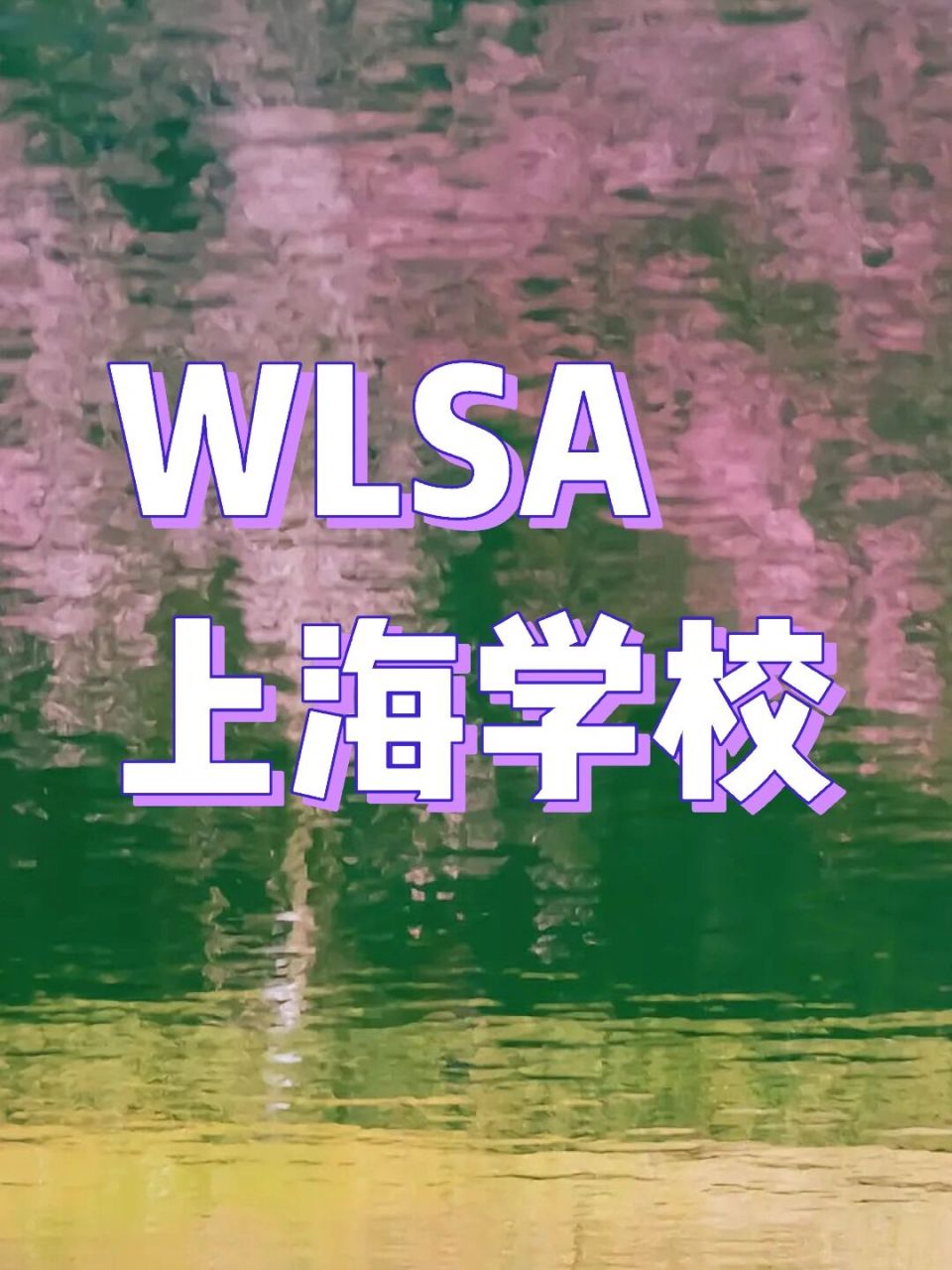 学校「国际高中」 学校概述 wlsa上海学校 (wlsa shanghai academy)