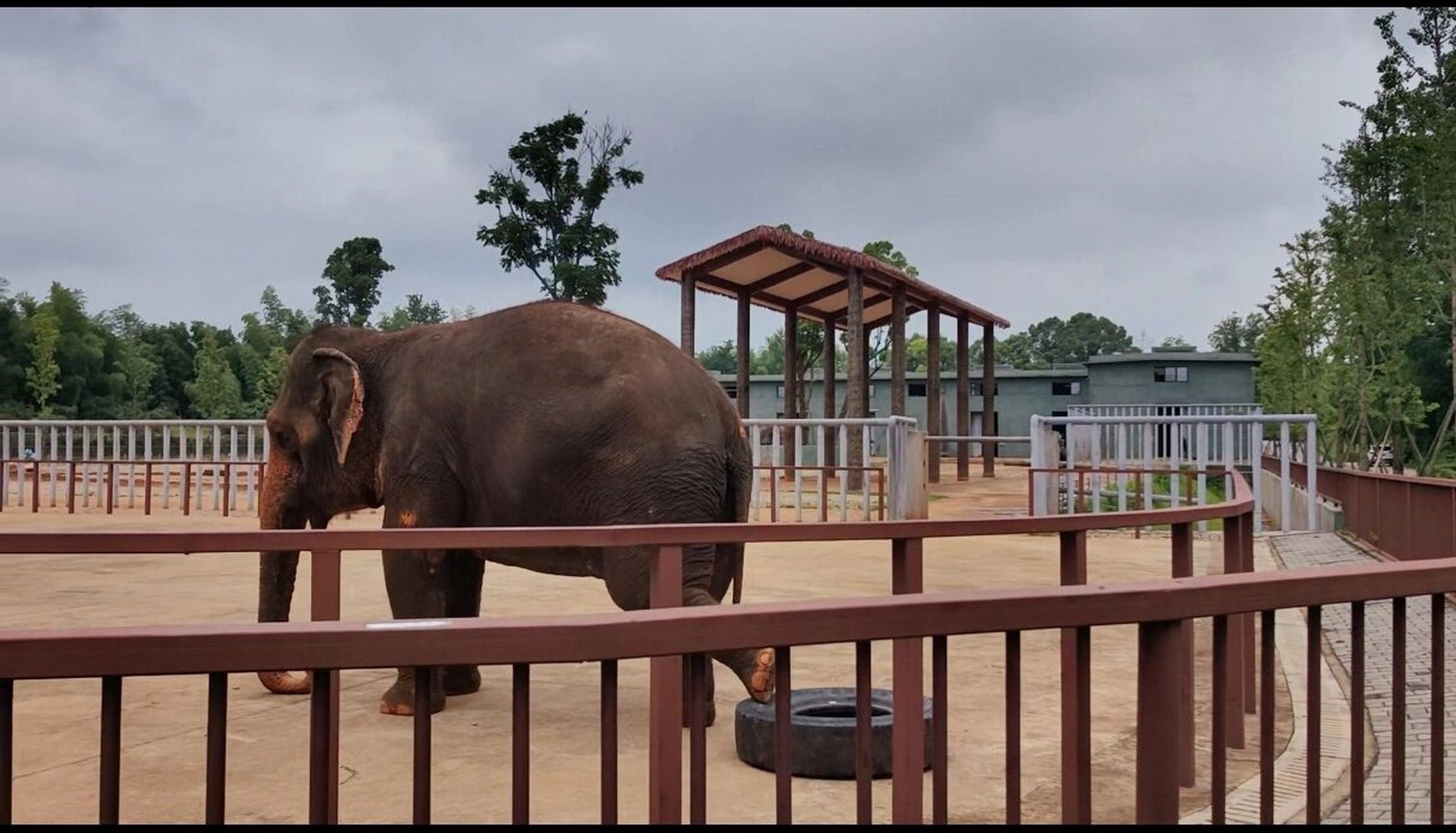 常德野生动物世界,我们来咯 产后八个月第一次和室友,和爸爸妈妈带