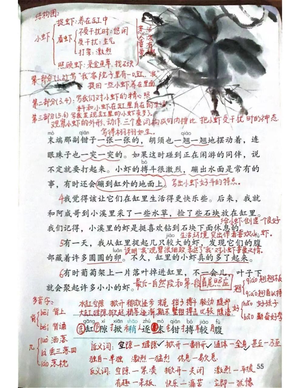 三年级语文下册第15课《小虾》课堂笔记来咯 本课的重难点知识主要