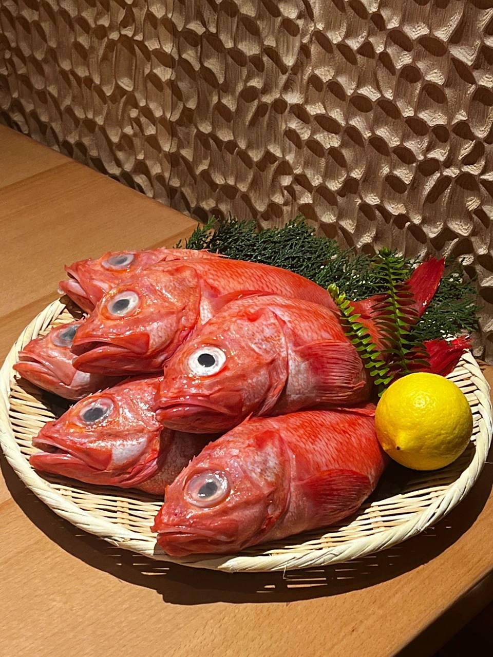 金吉鱼|日本三大名鱼之一 海中红宝石 金吉 金吉鱼栖息深度:800-1500m