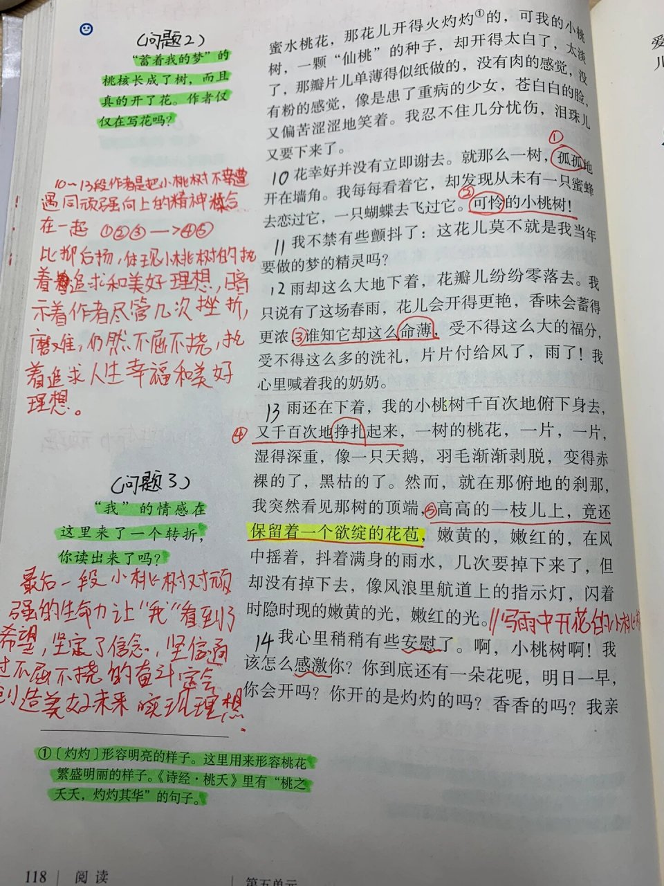 一棵小桃树课文笔记图片