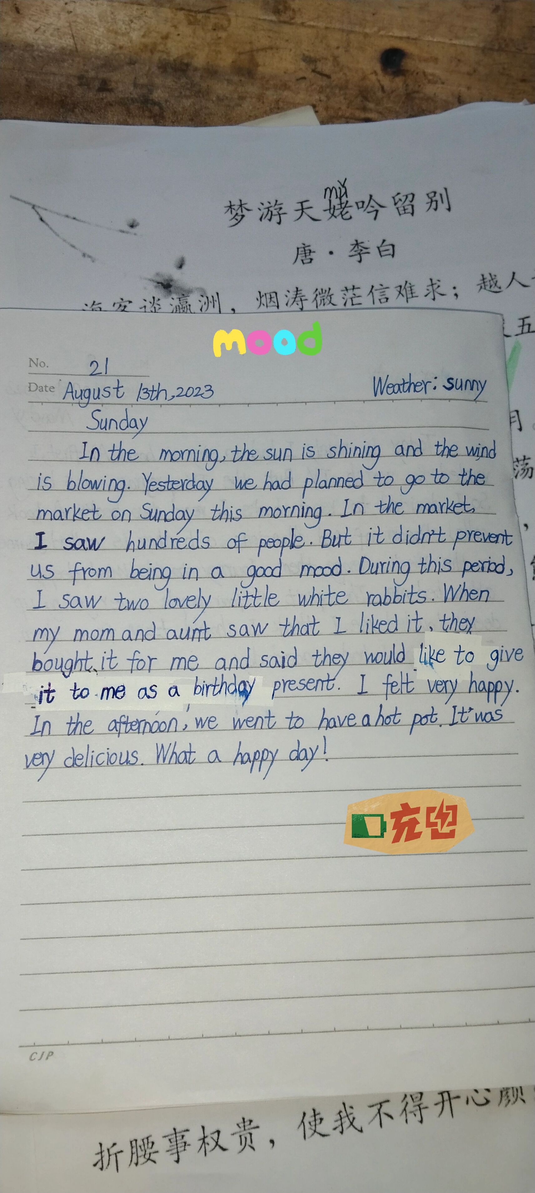 日记用英语(用英语写日记的英语是什么)  第1张