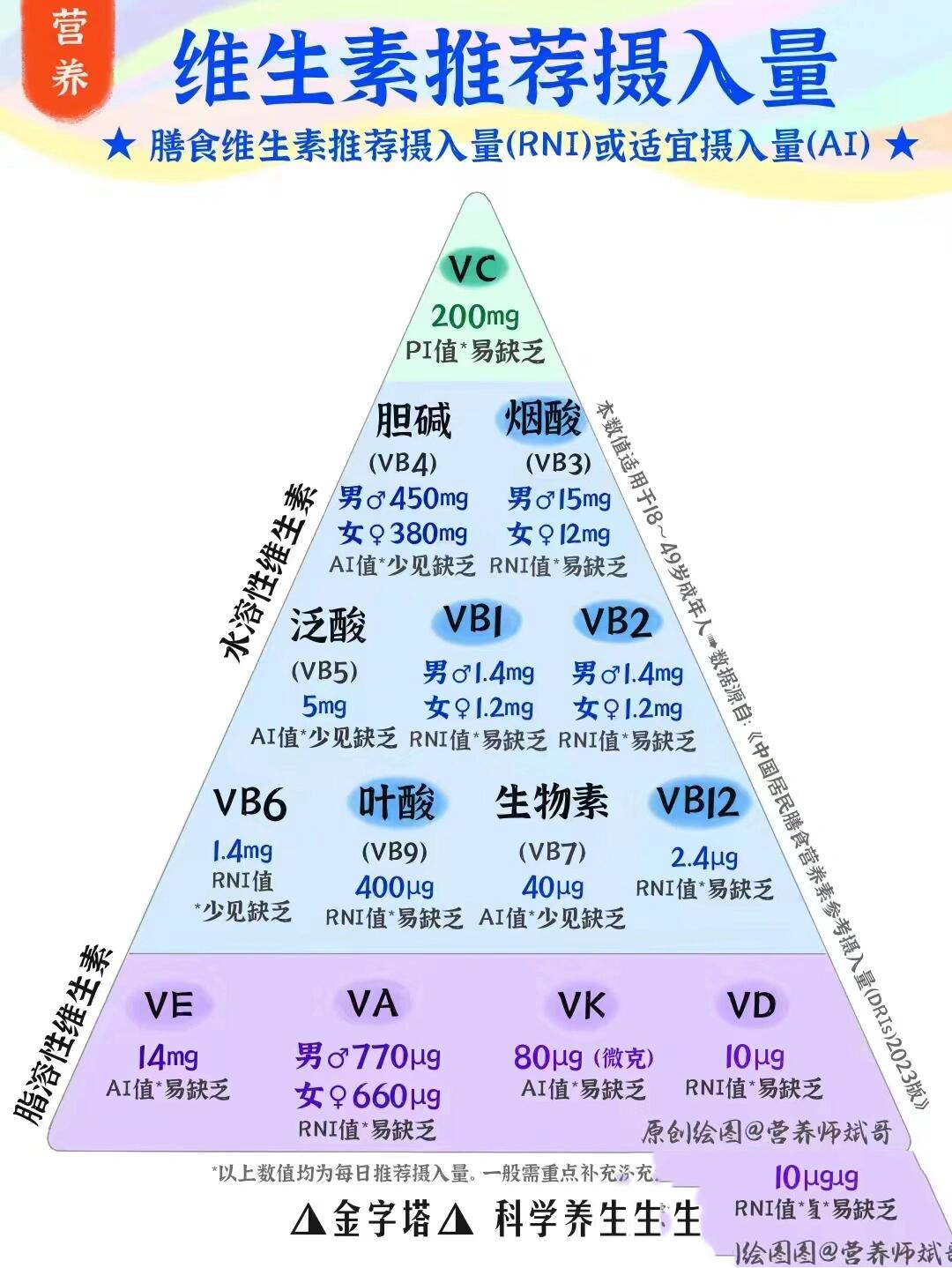 人体每日食物营养表图图片