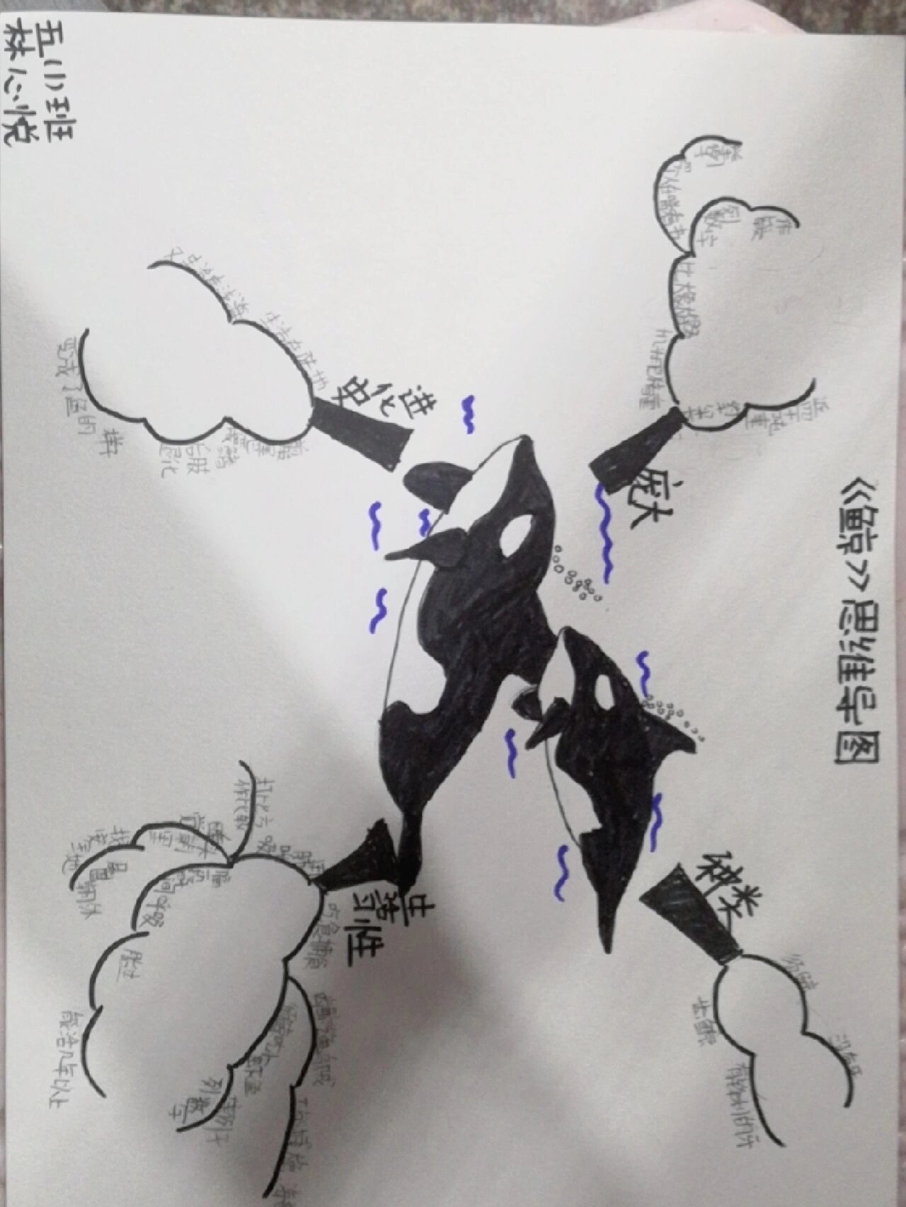 《鲸》思维导图