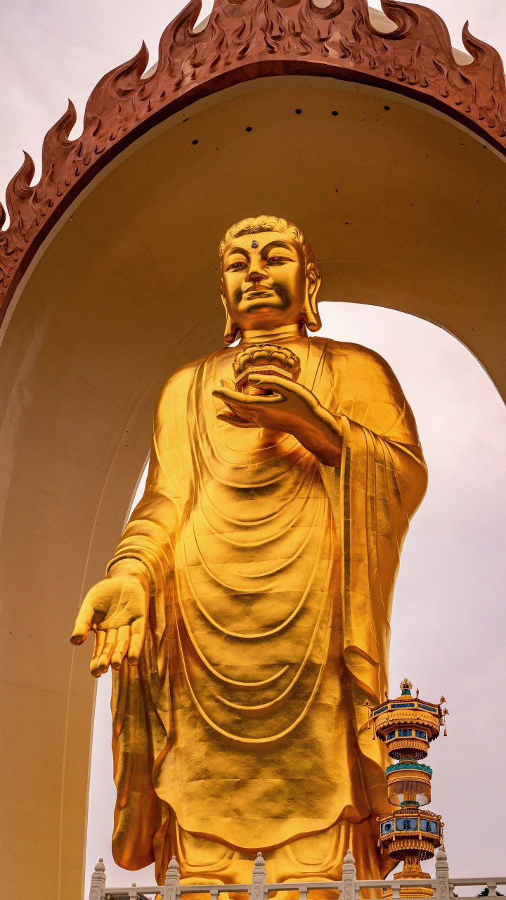 屿深,欢迎收看本篇摄影日记,本期屿深来到了世界最高的佛像—东林大佛