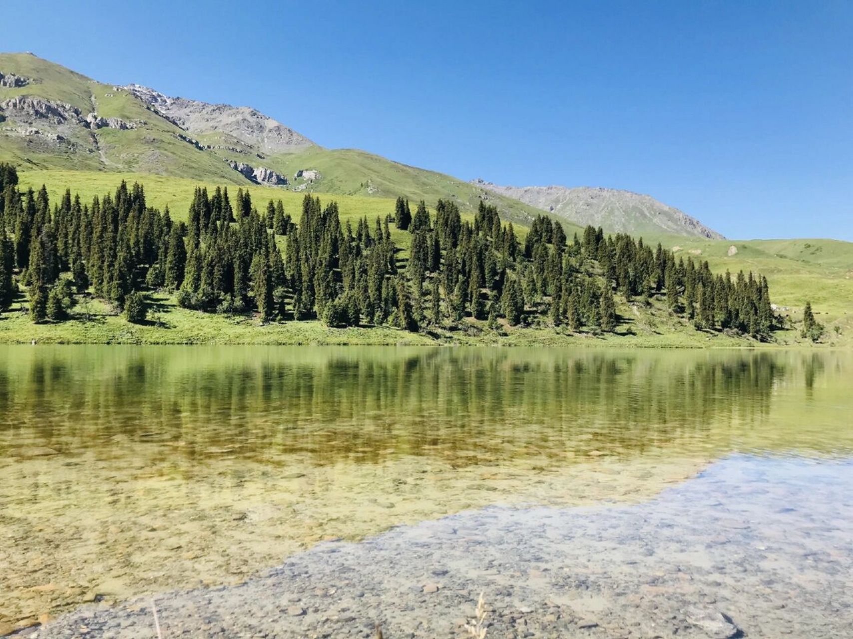 新疆|百里画廊-唐布拉  	 96唐布拉草原是新疆伊犁地区著名的草原之