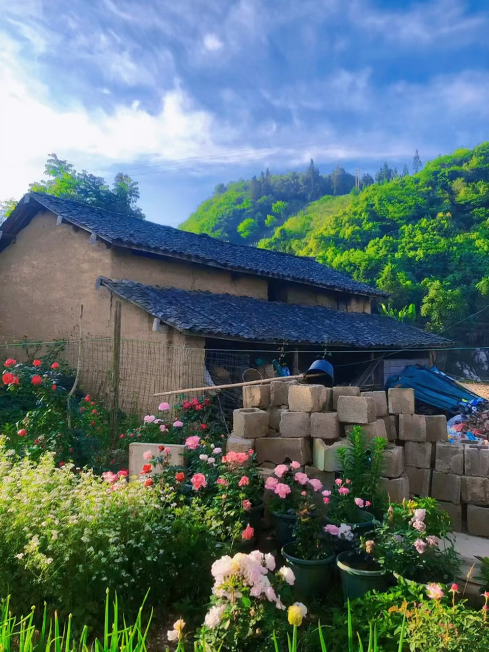 云南蒙自山村小院