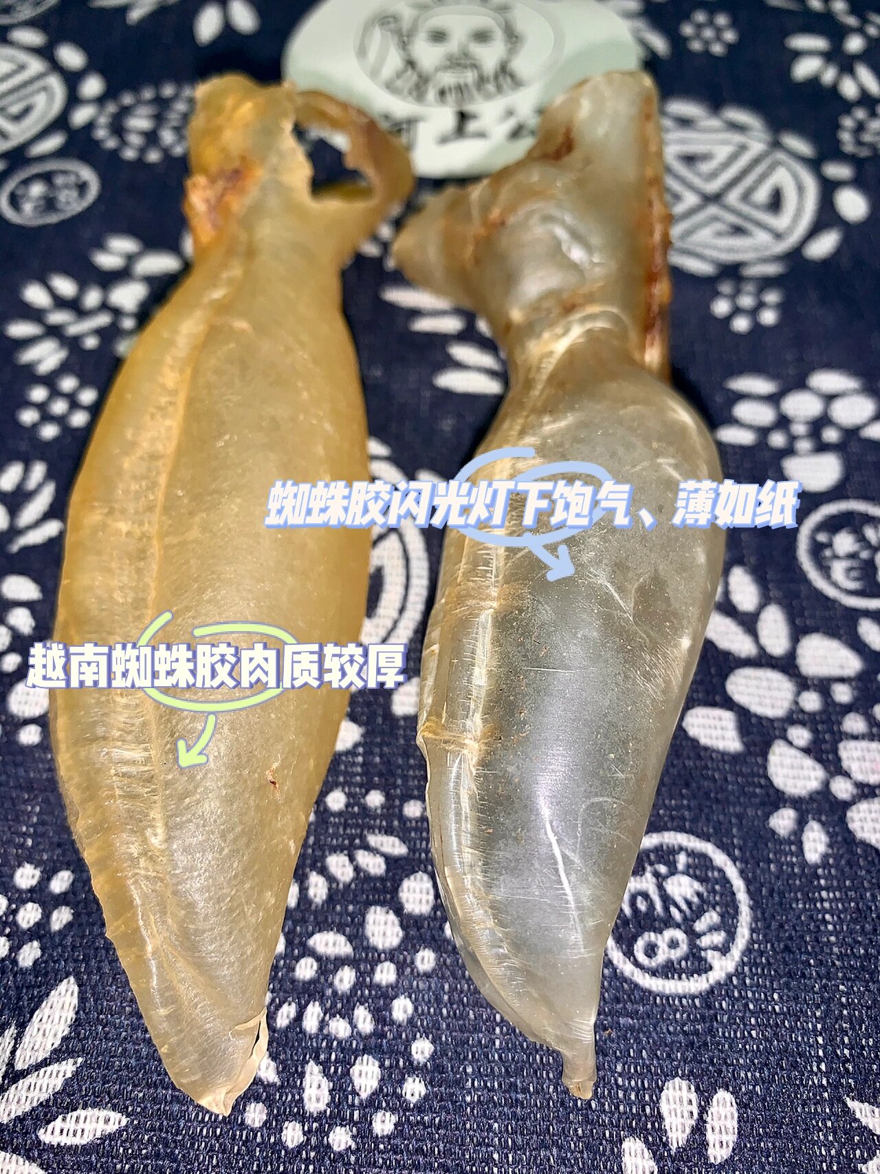 科普7215分清越南蜘蛛胶等蜘蛛胶"替身"91 越南蜘蛛胶是真的