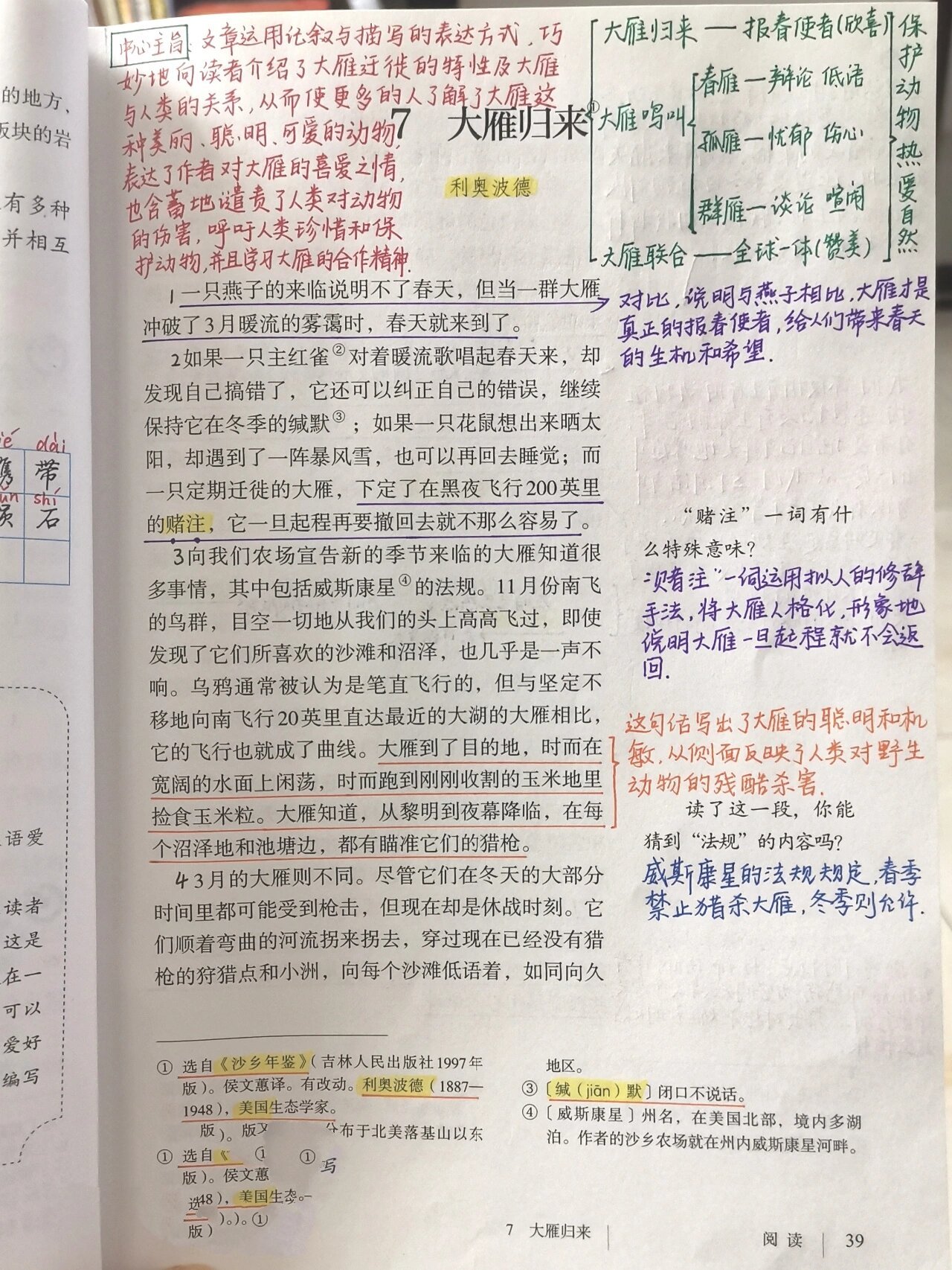 中学教师|备课笔记|部编八下语文《大雁归来》
