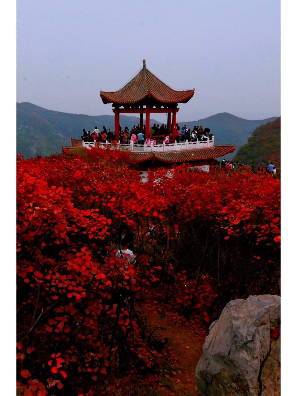 焦作 | 窄门峡谷,红叶飘飘