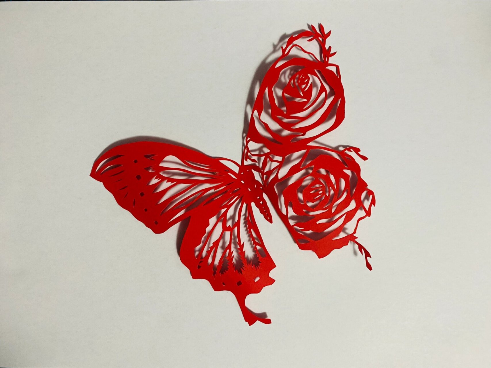 【剪纸刻纸】蝴蝶03 创意剪纸～ 底稿来源于网络! 快来交作业!