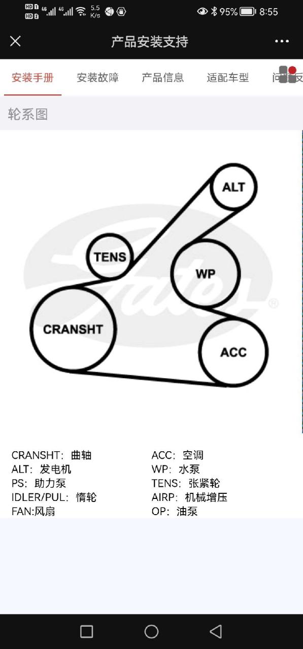 本田思域皮带绕法图片