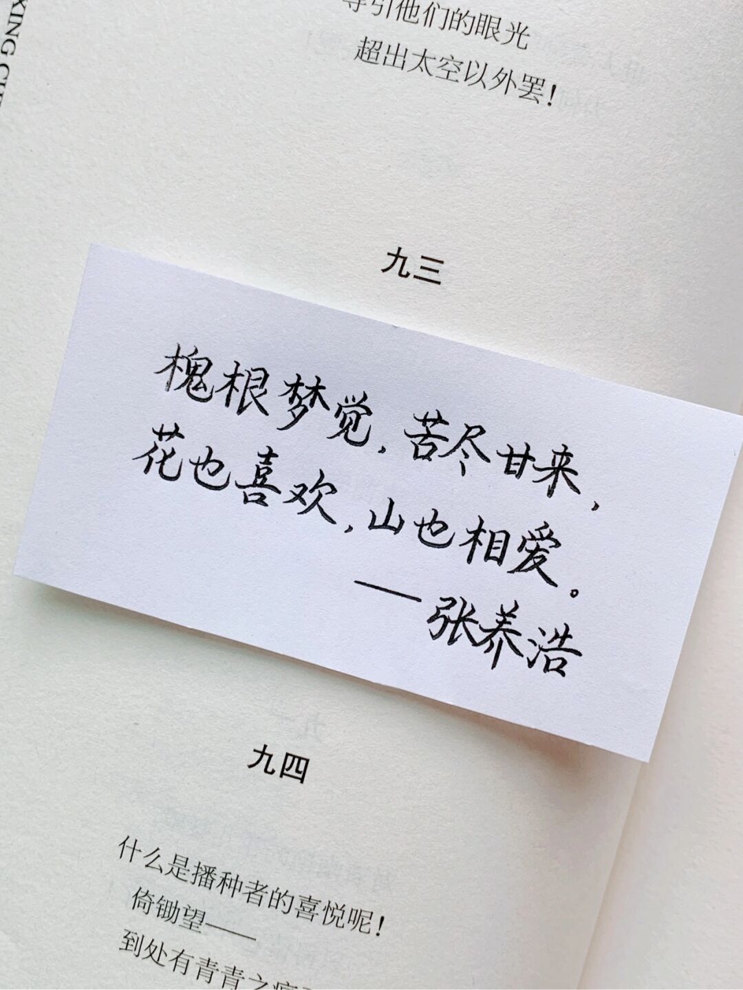 初心的爱情句子摘抄大全图片(爱的初心的句子)
