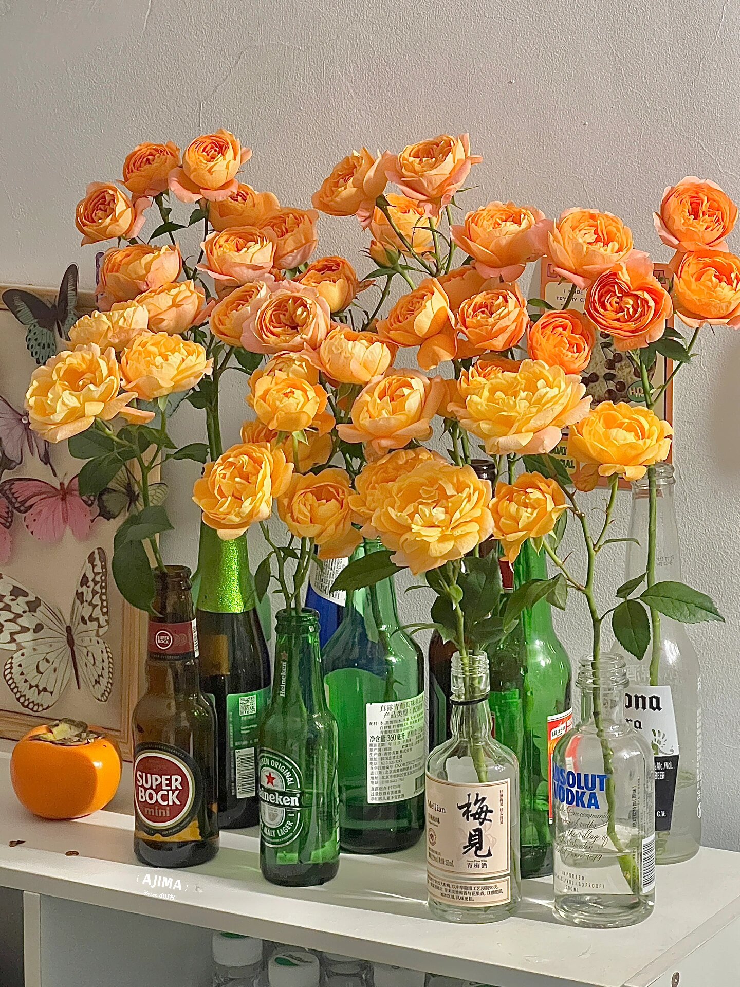 酒瓶插花合集|附养花教程