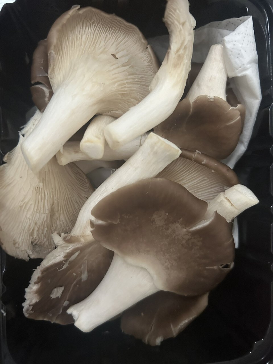 秀珍菇和平菇 图1是,图2是,不认真看还看不出区别,把它们倒一起煮了吃