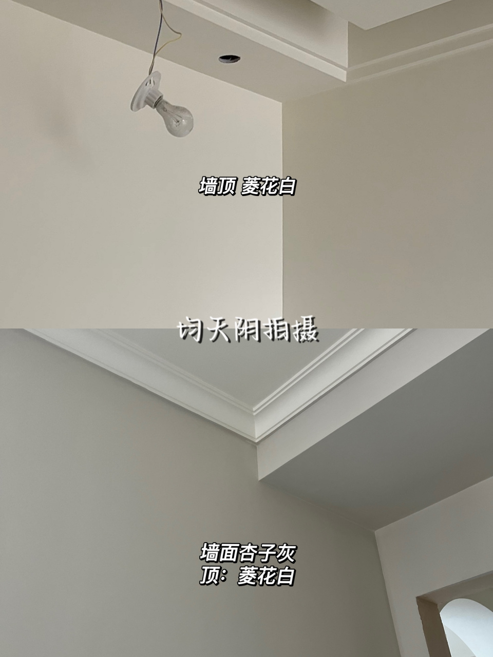 杏子灰与菱花白对比|天阴无滤镜拍摄 看前两篇笔记有想知道杏子灰和