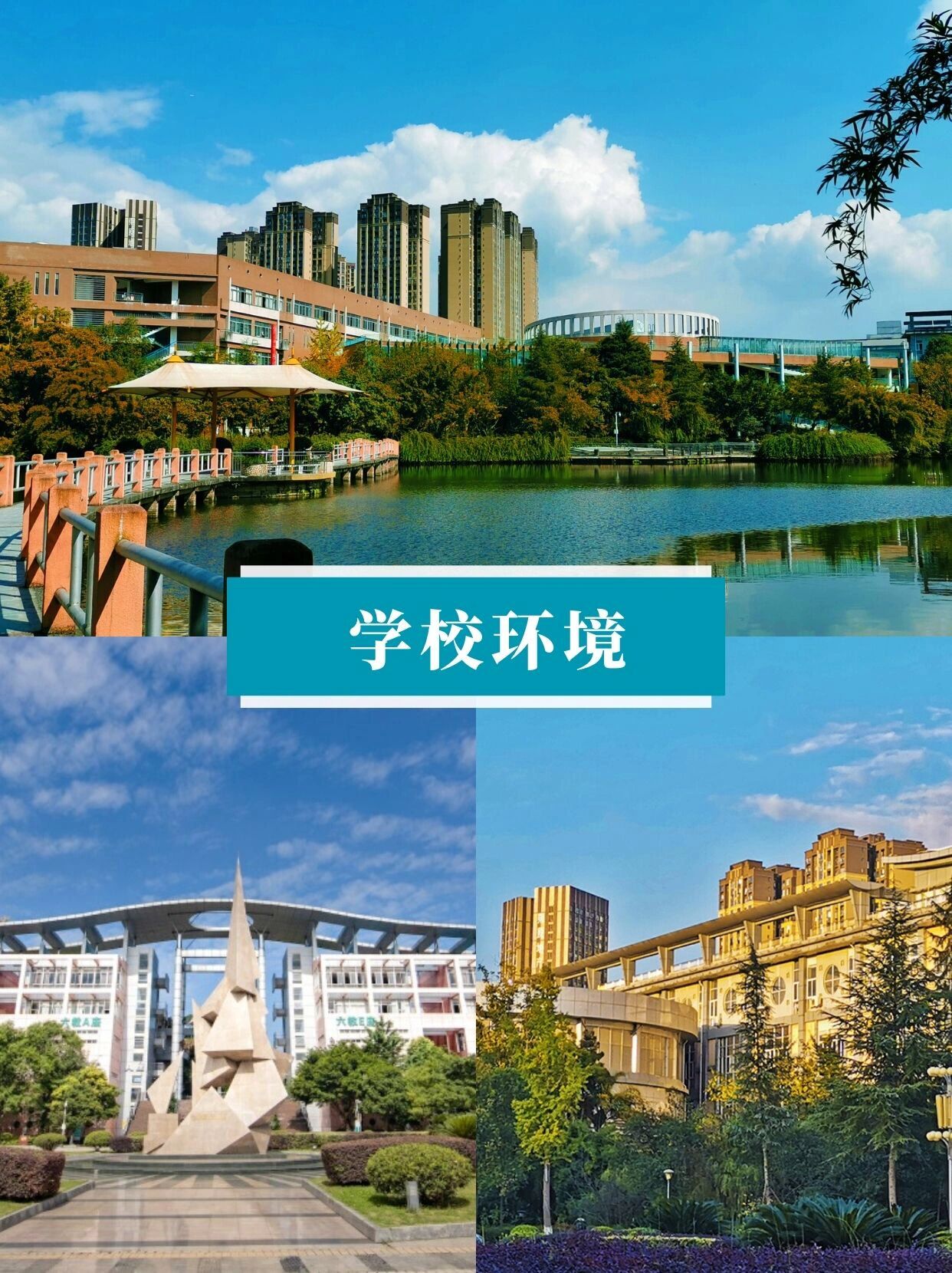 四川城市技师学院曝光图片