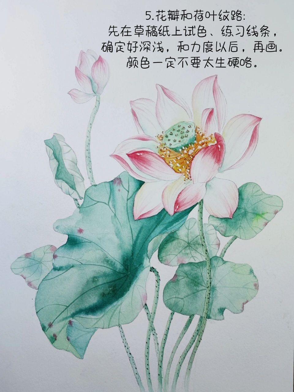 古风水彩荷花‖内附详细步骤和线稿 纸:尊爵细纹 颜料:飞乐鸟鸾.