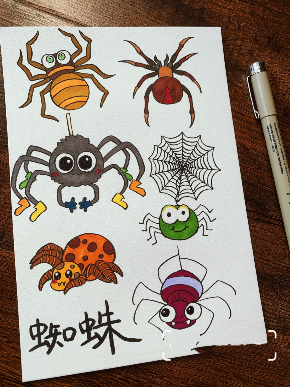 苍蝇和蜘蛛简笔画图片