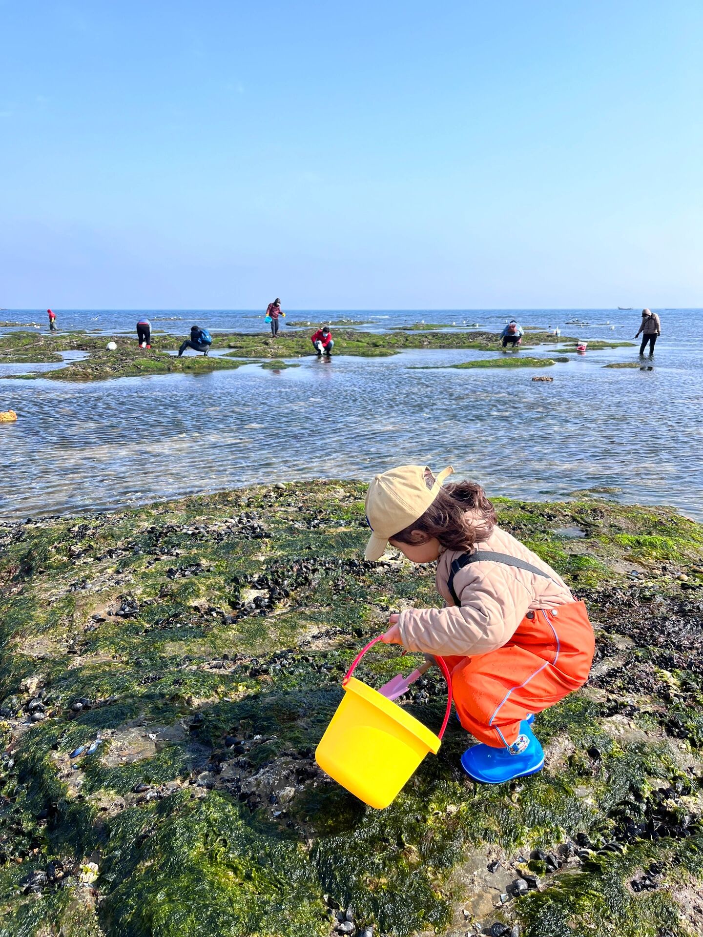 大连甘井子区赶海图片