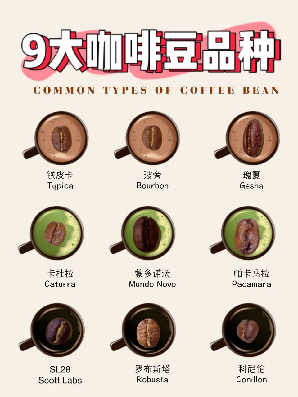96咖啡豆种咖啡新手必知的9大咖啡豆品种 哈喽,我是从业13年,走遍32