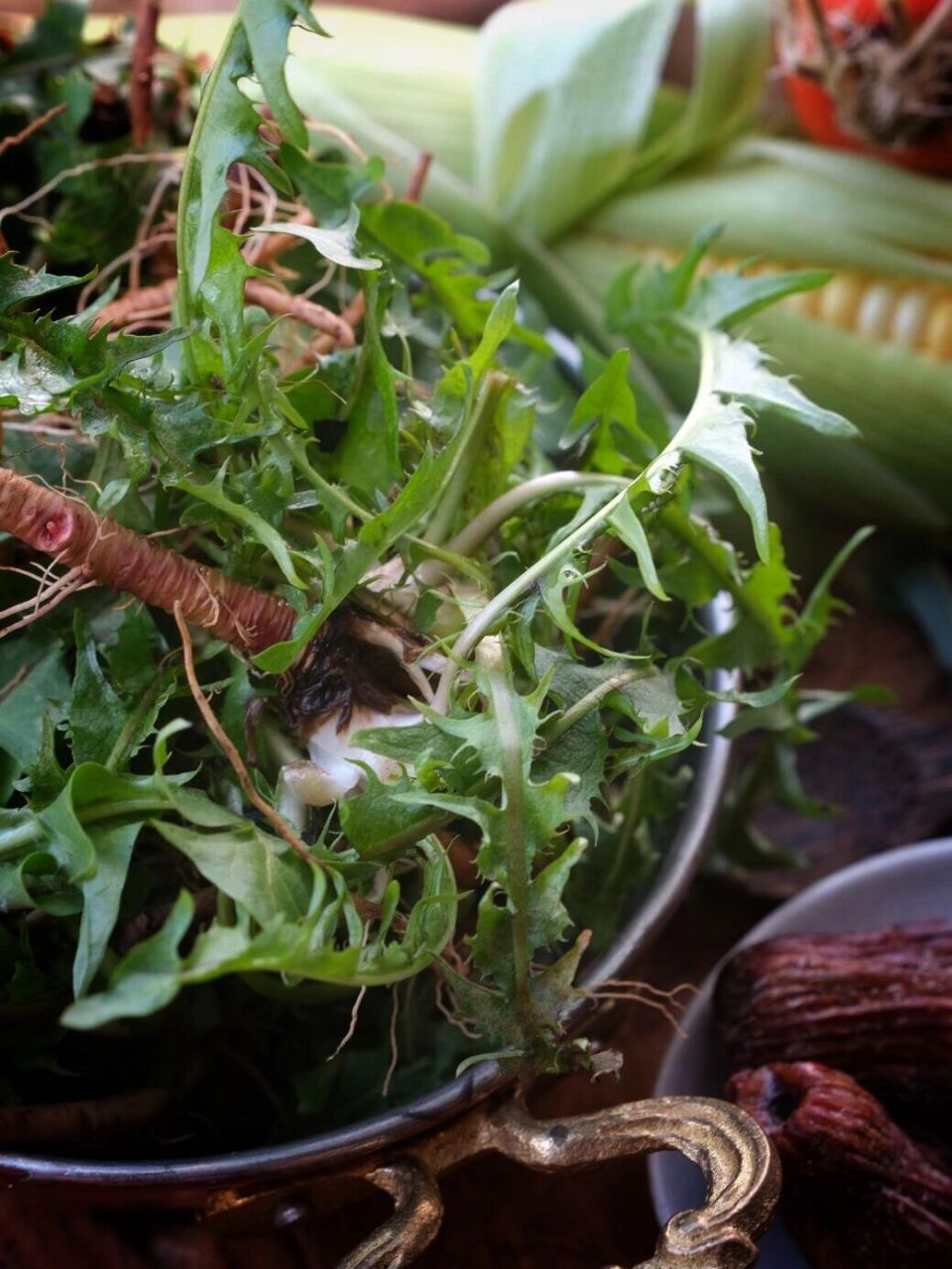 收集春天的味道|蒲公英排骨汤 蒲公英,性平,味甘苦,可清热解毒,预防