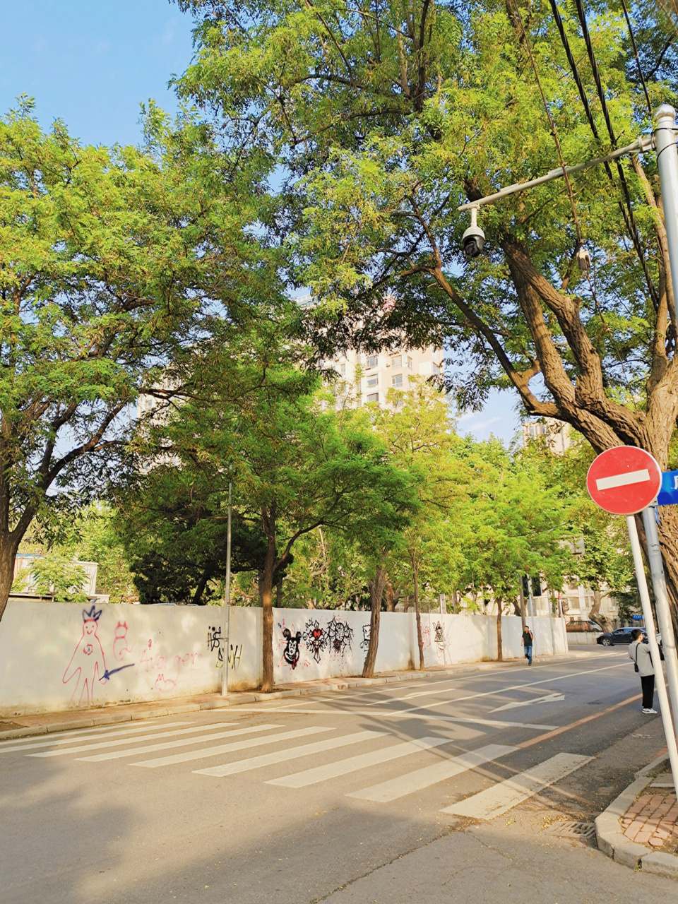 大连拍照|槐花大道涂鸦墙|凤鸣街 98大连凤鸣街已经没落许久,拆也不