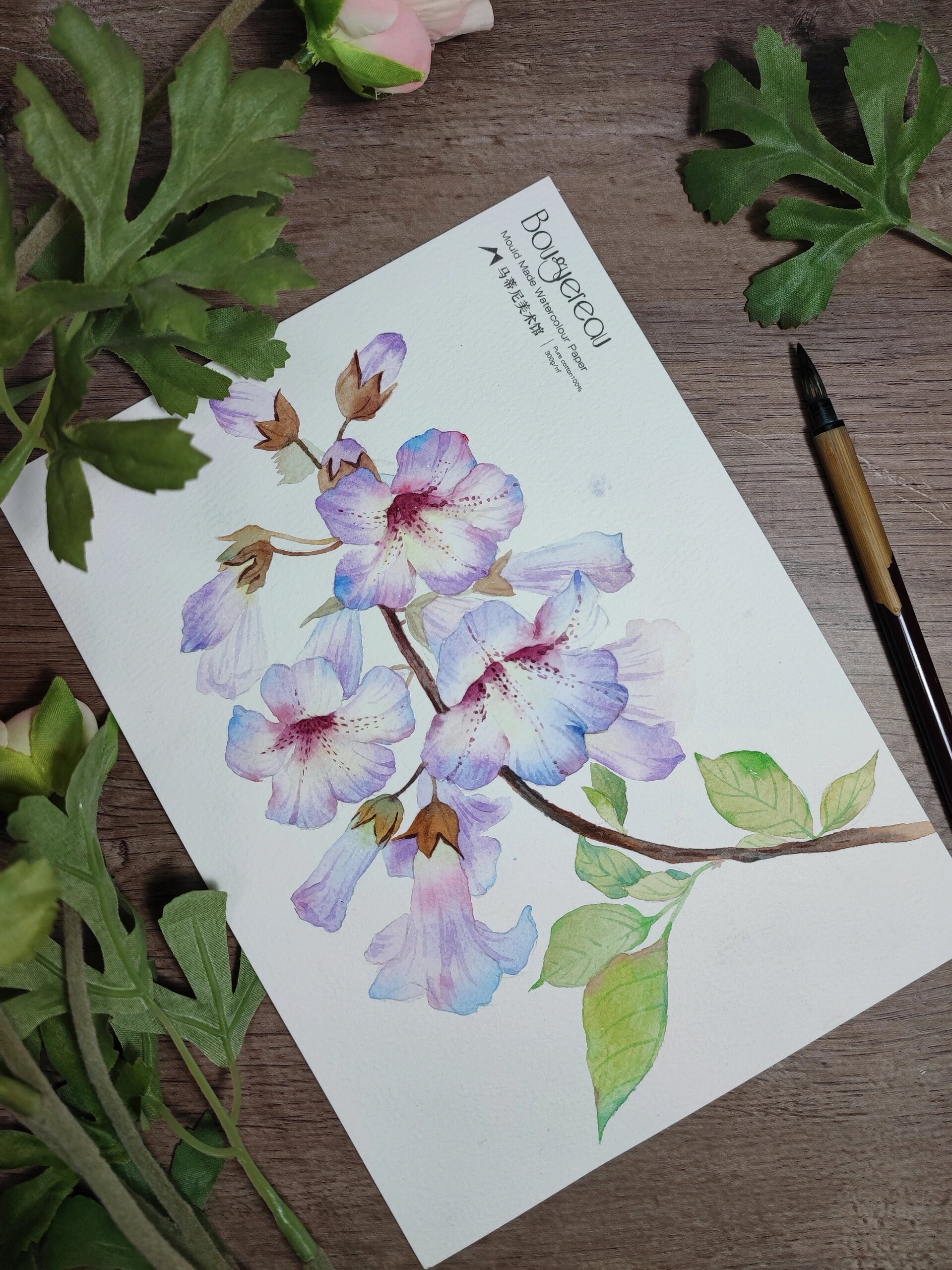 水彩泡桐花‖内附详细步骤和线稿