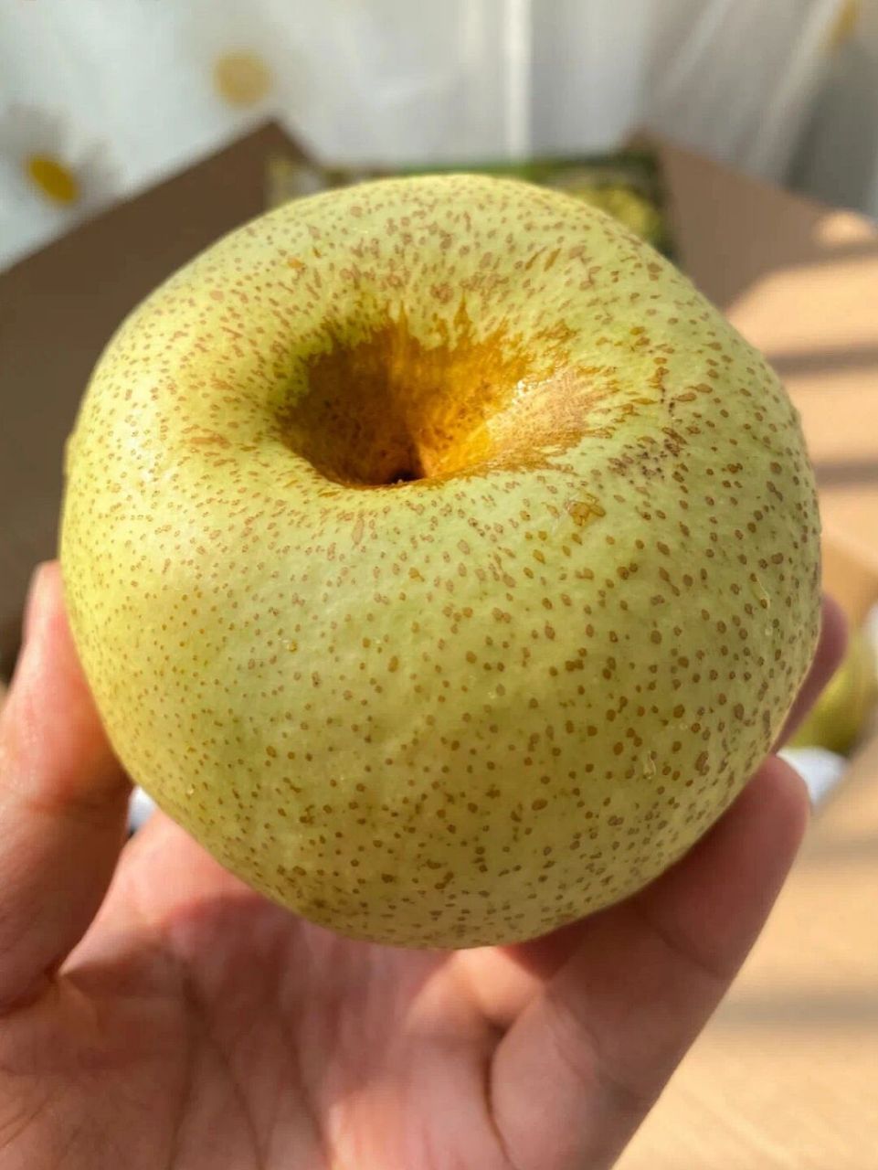 秋季水果|砀山酥梨98 99产地:安徽省砀山县良梨镇,玄庙镇 77果