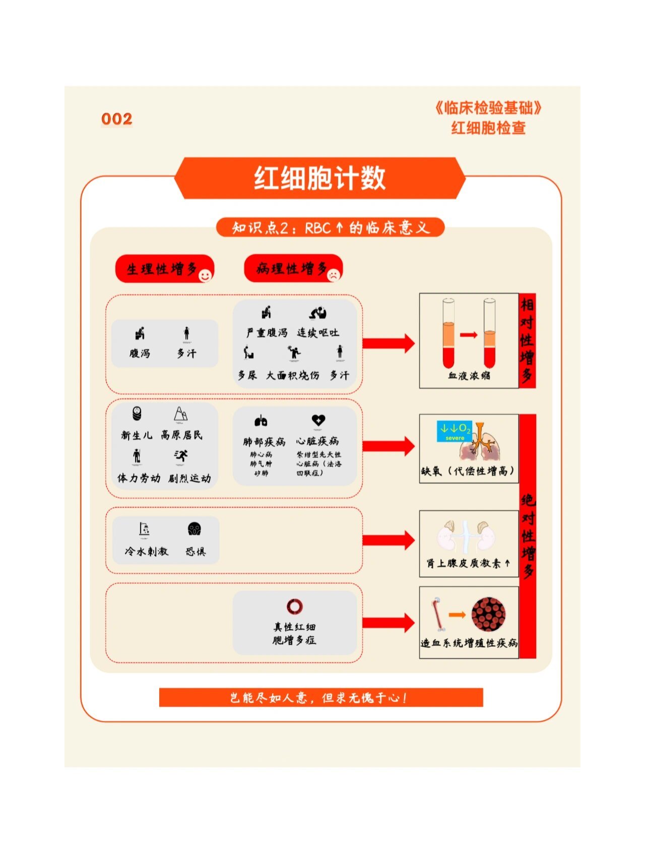 尿沉渣红细胞计数图片