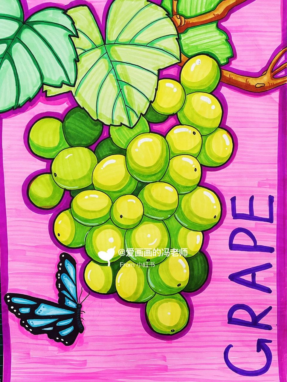 马克笔葡萄绘画 今日分享马克笔线描葡萄,绿色的提子 晴王葡萄,马克笔