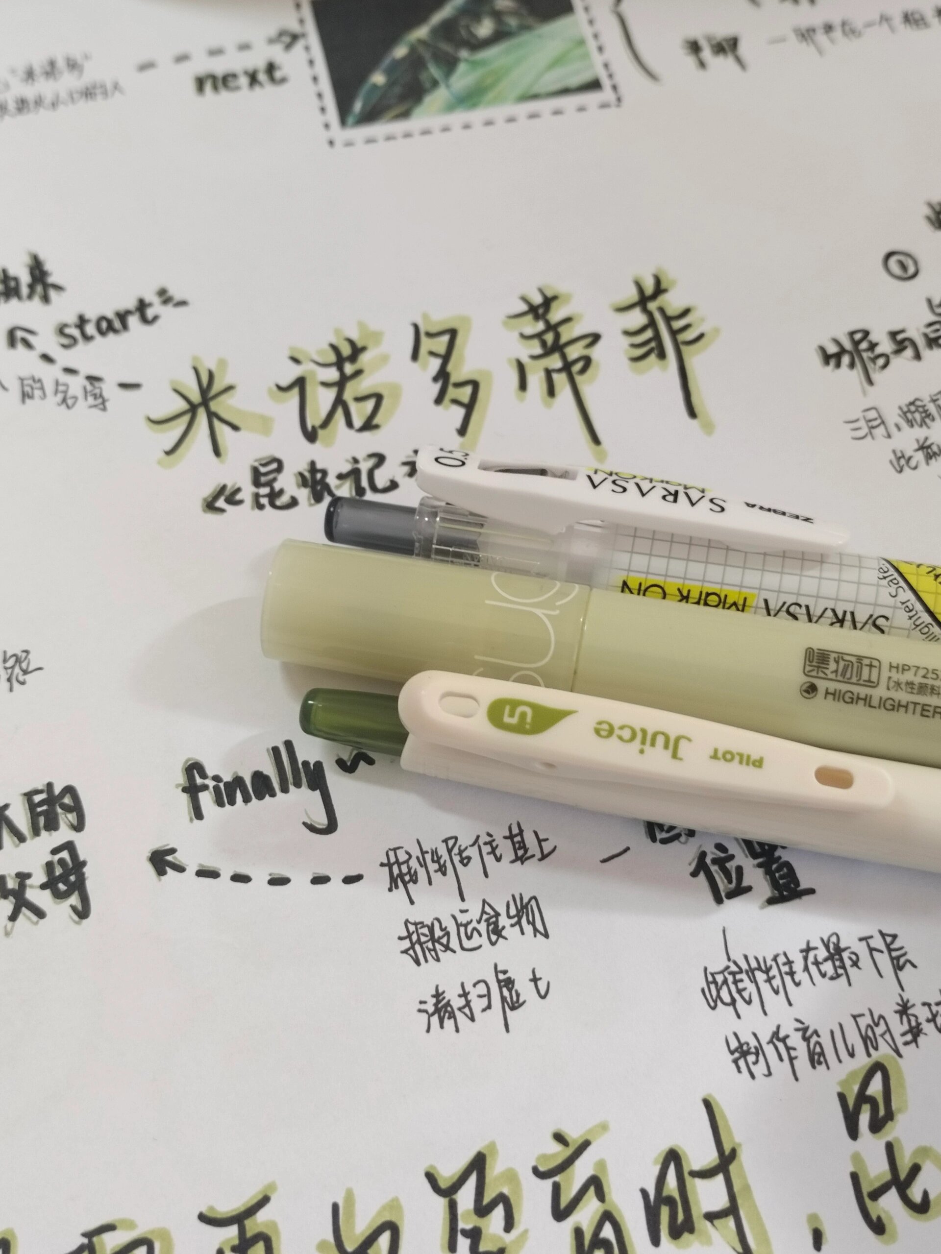 昆虫记米诺多蒂菲章节详解
