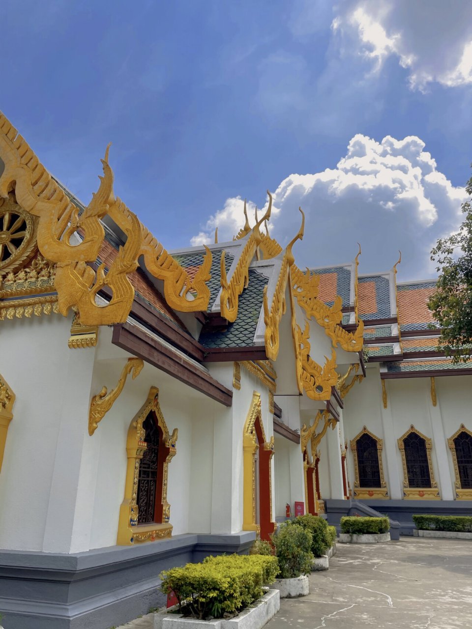 90疫情期间不能出国旅游,开元寺泰佛殿满足你 99开元寺泰佛殿