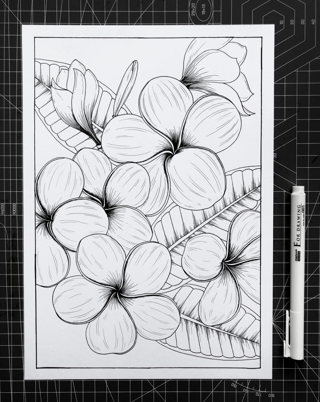 【黑白线描装饰画】