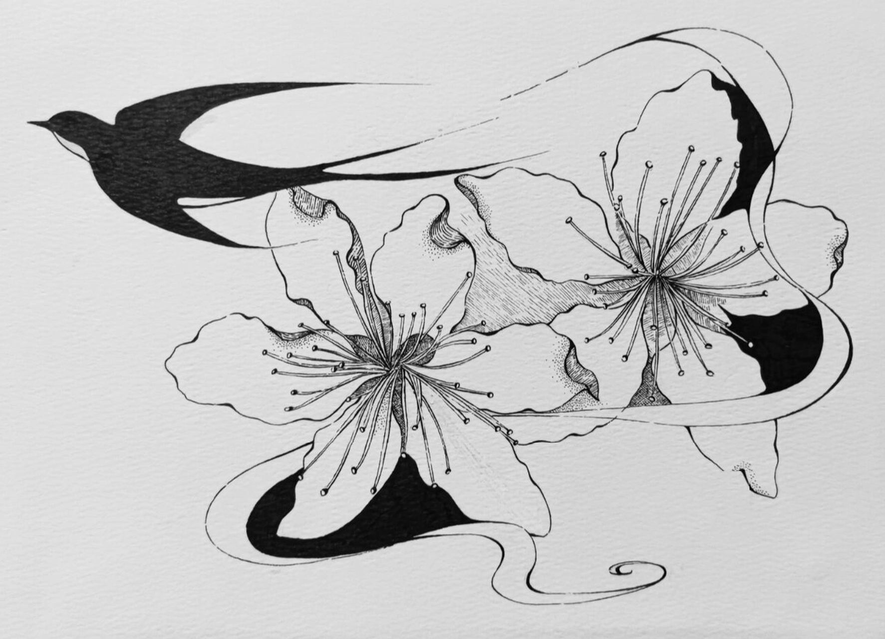 原创手绘线描作品 | 春