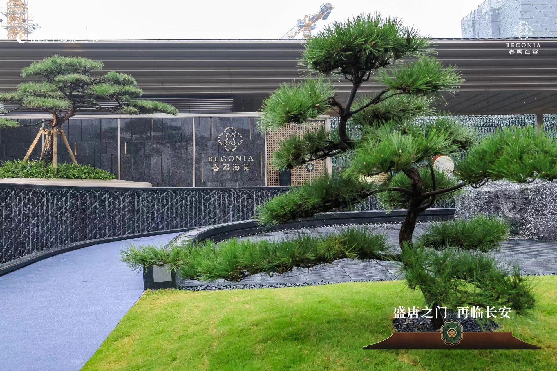 高新板块四代建筑春熙海棠 绿城海棠三章二地块之春熙海棠实景园林