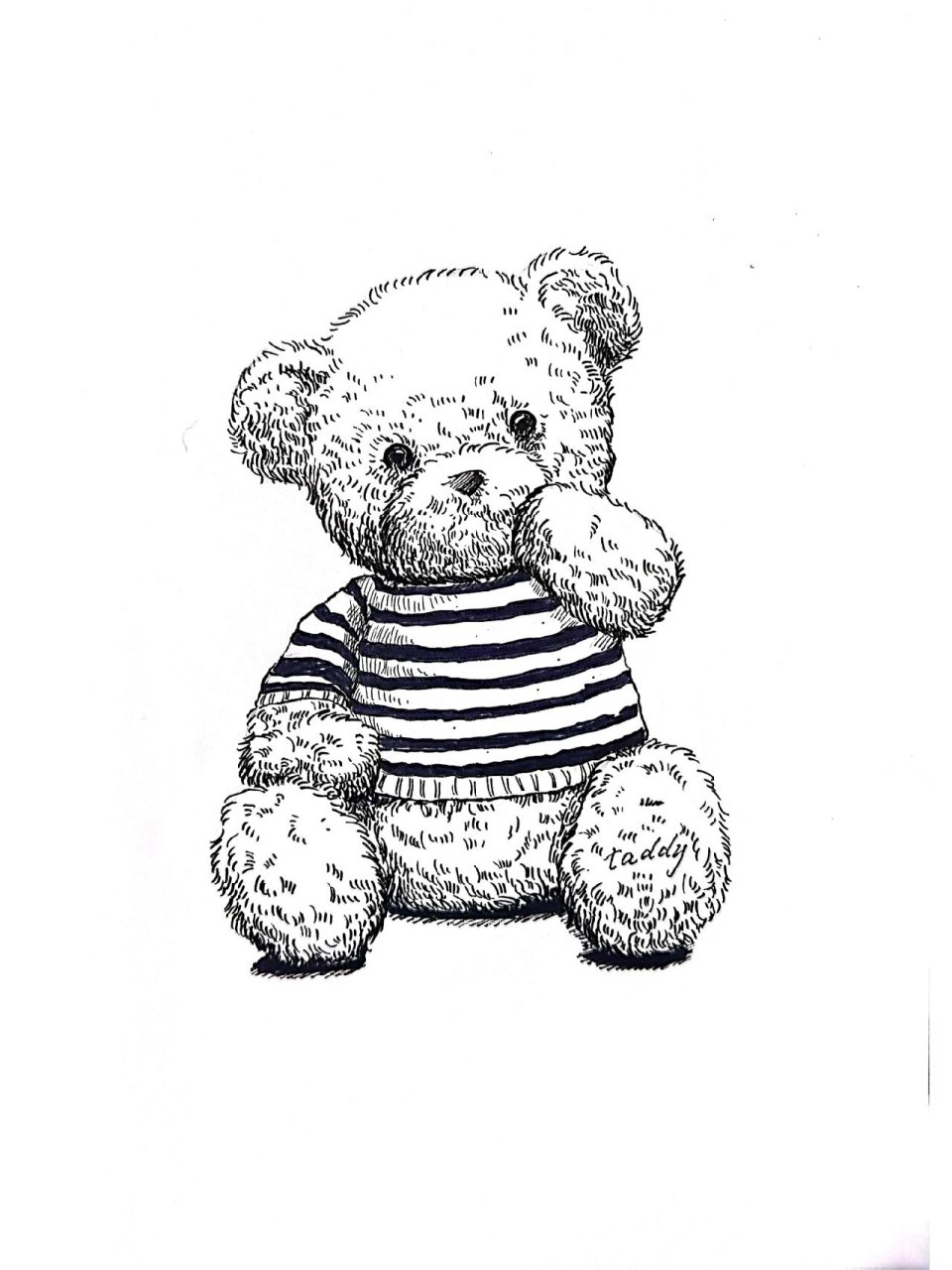 毛绒玩具熊(附步骤) #毛绒公仔# #速写写生