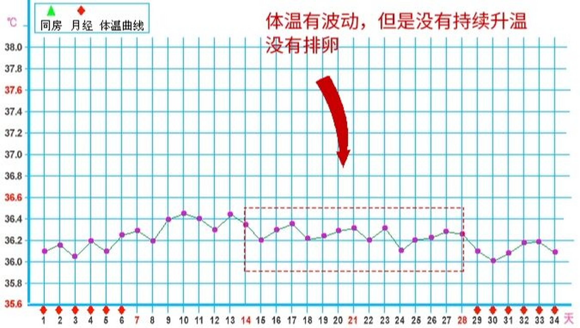 排卵基础体温图图片