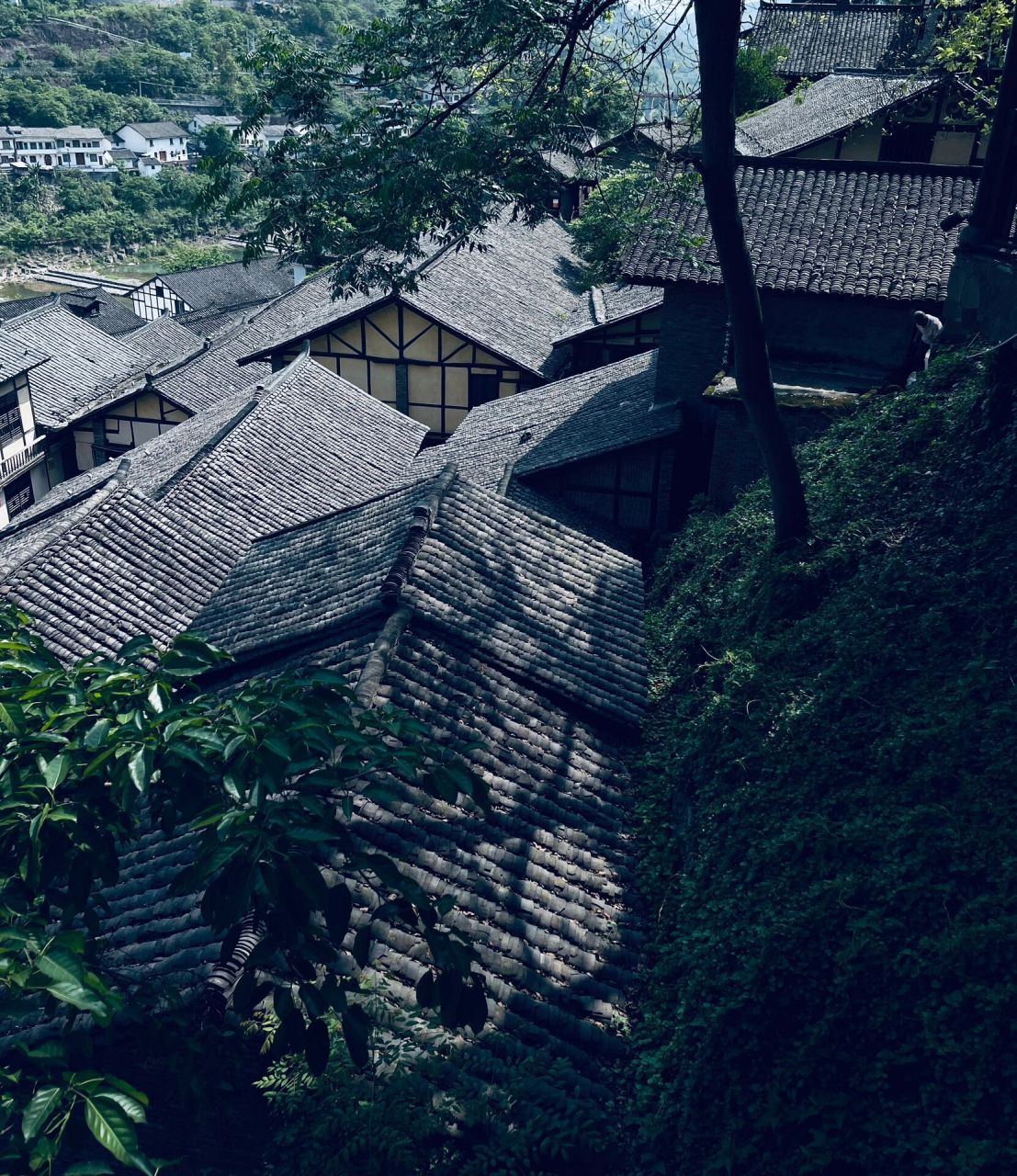 太平古镇   古蔺太平古镇 4a级景区的太平古镇,是川南独有的山地古镇.