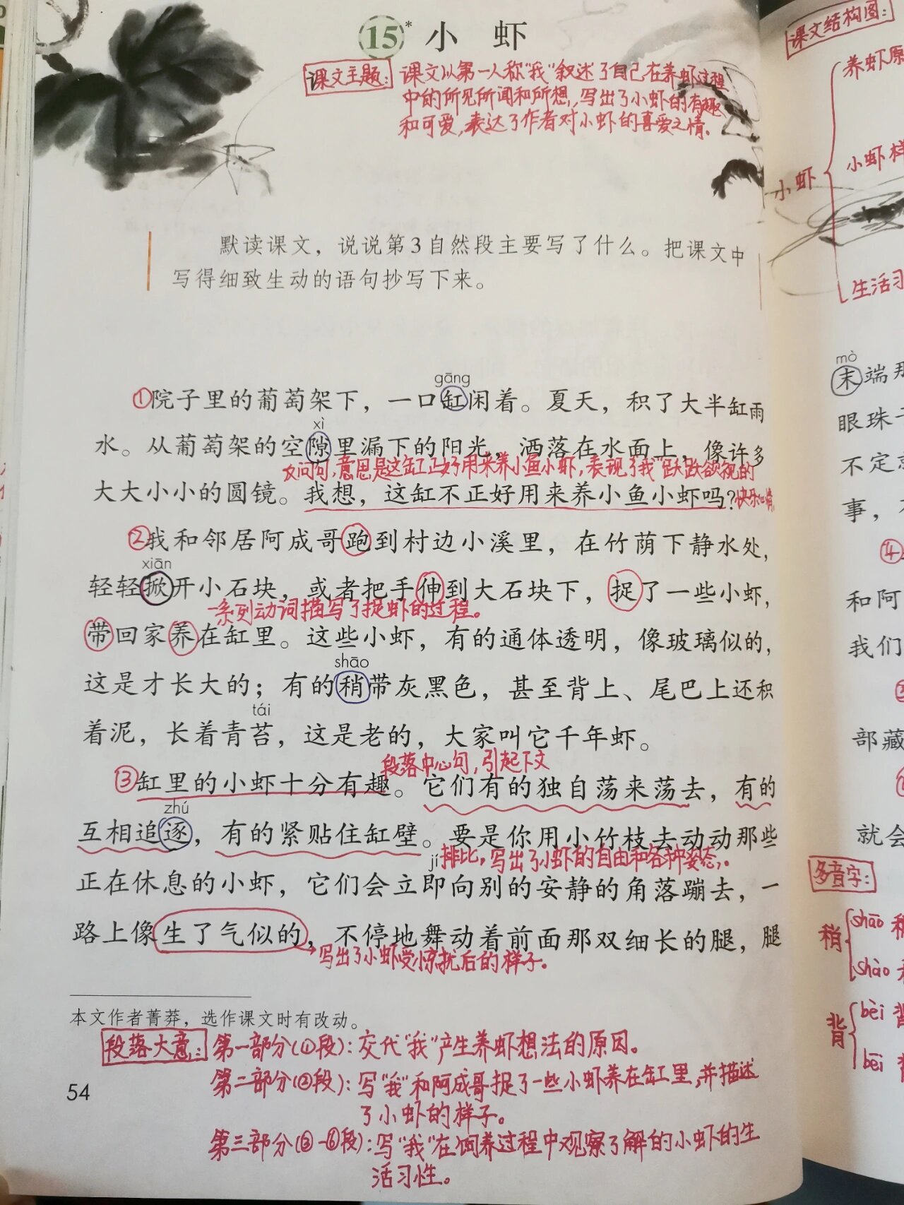 15课《小虾》课堂笔记图片