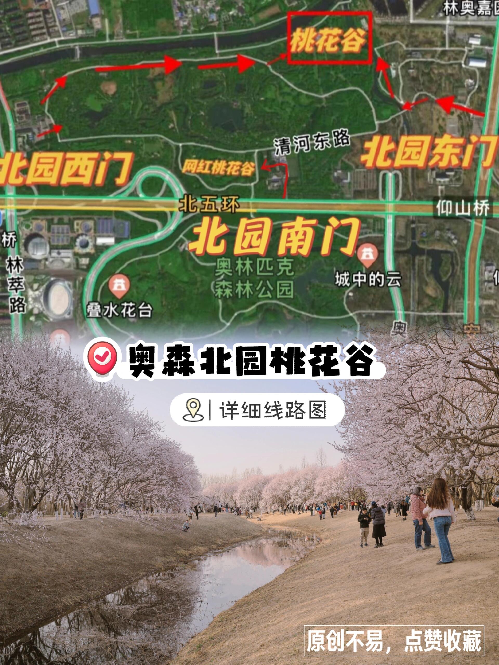 奥森公园公交车线路图片