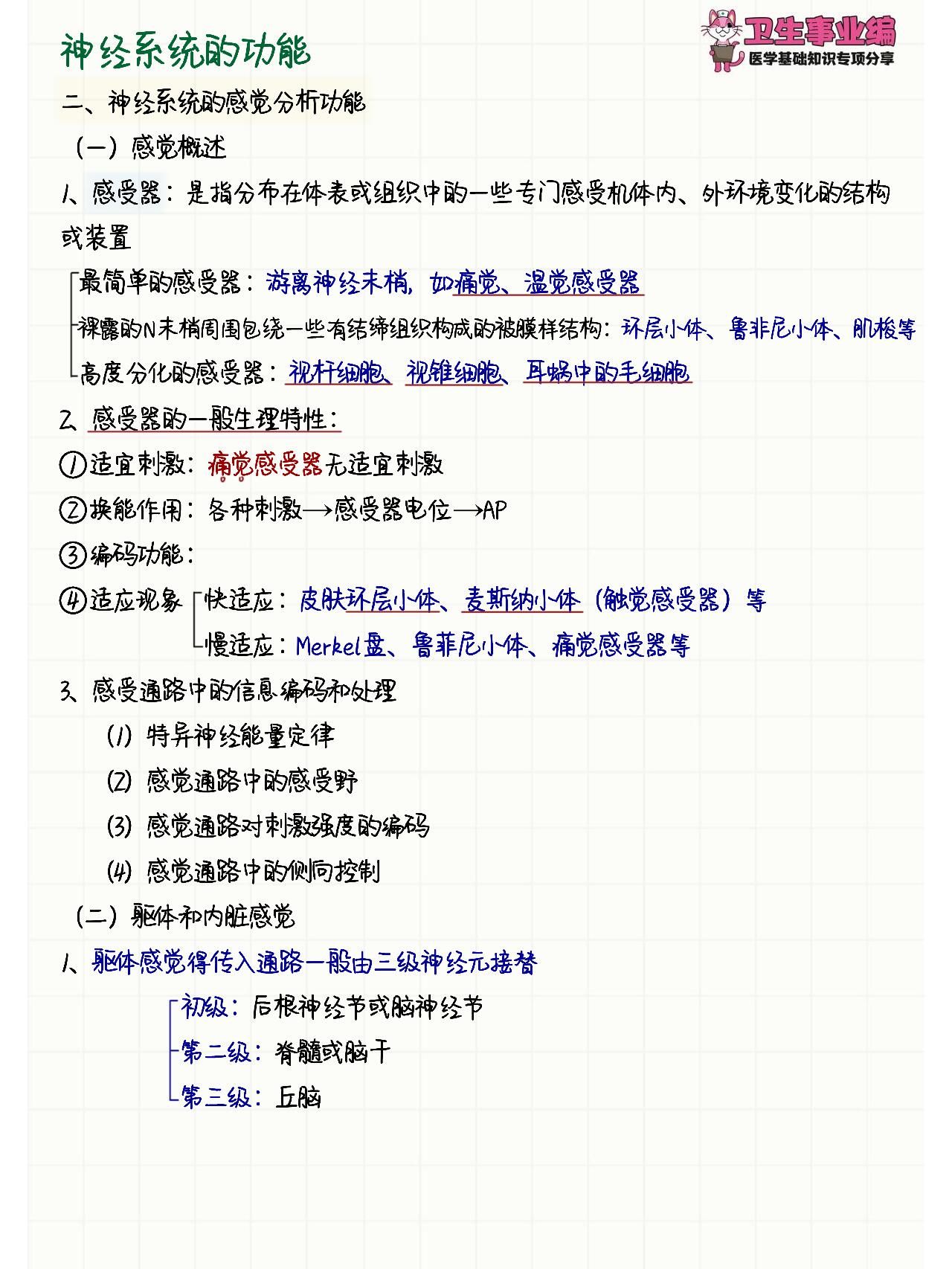 98生理学day3961神经系统的功能5