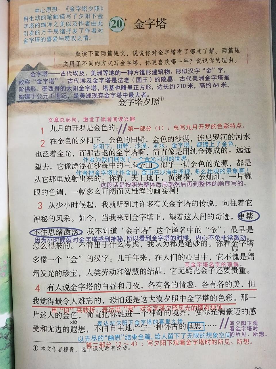 五年级下册语文 第20课金字塔 笔记