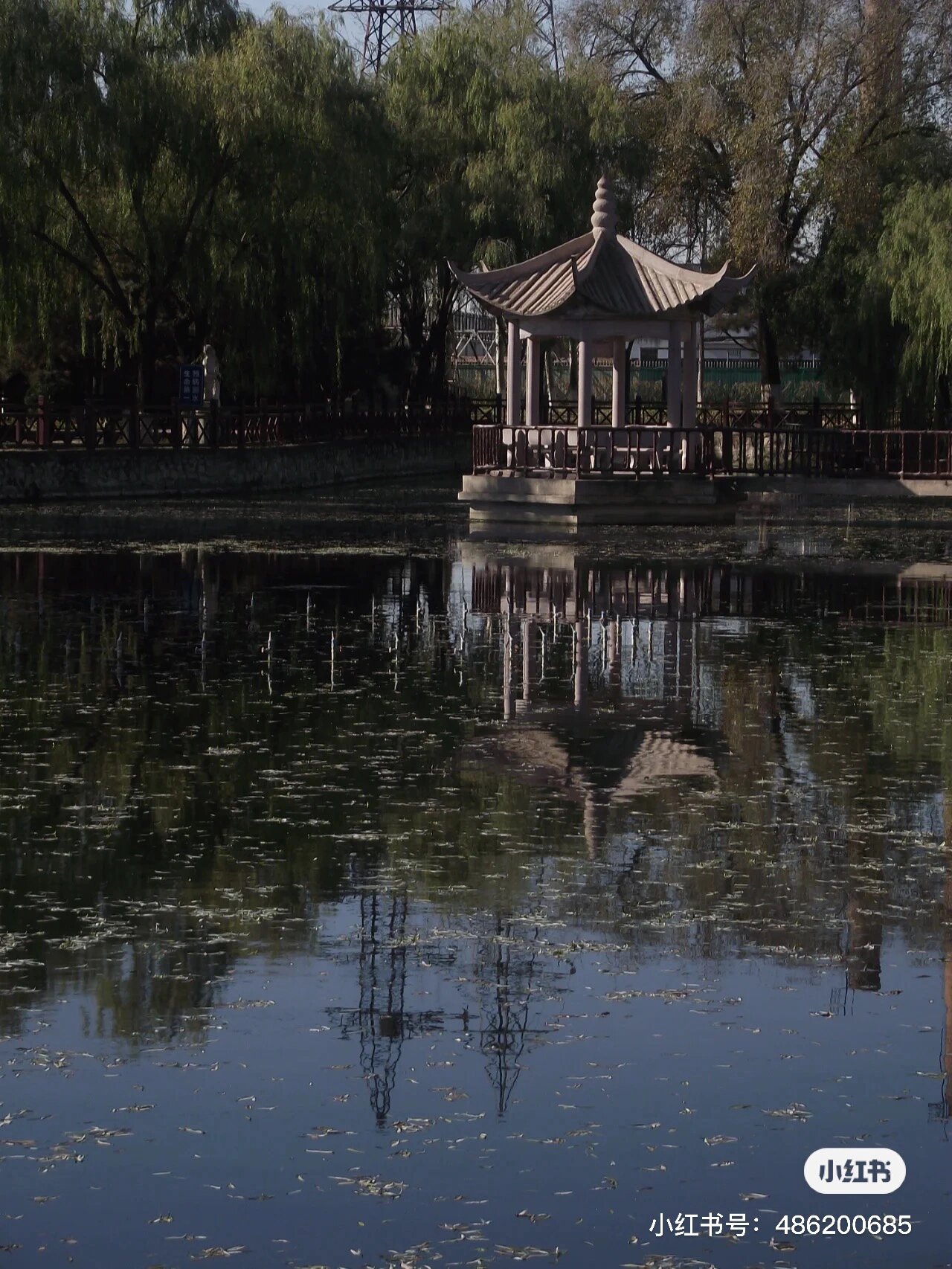 每日ccd分享—富士s1770 91 富士s1770 小长焦 1200万像素 15倍光学